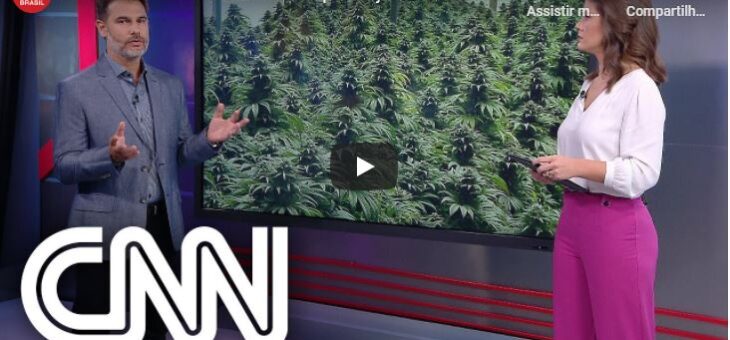 CNN fala sobre a decisão da ONU sobre cannabis ajudar em tratamentos
