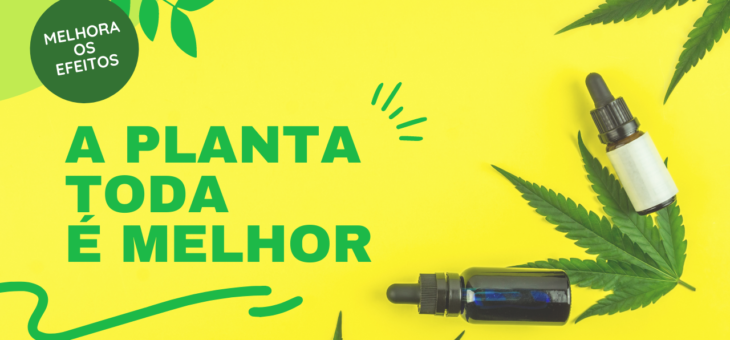 Bom da Cannabis Medicinal é a planta toda